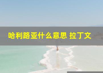 哈利路亚什么意思 拉丁文